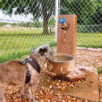 Dog Park at Heritage Park Complex